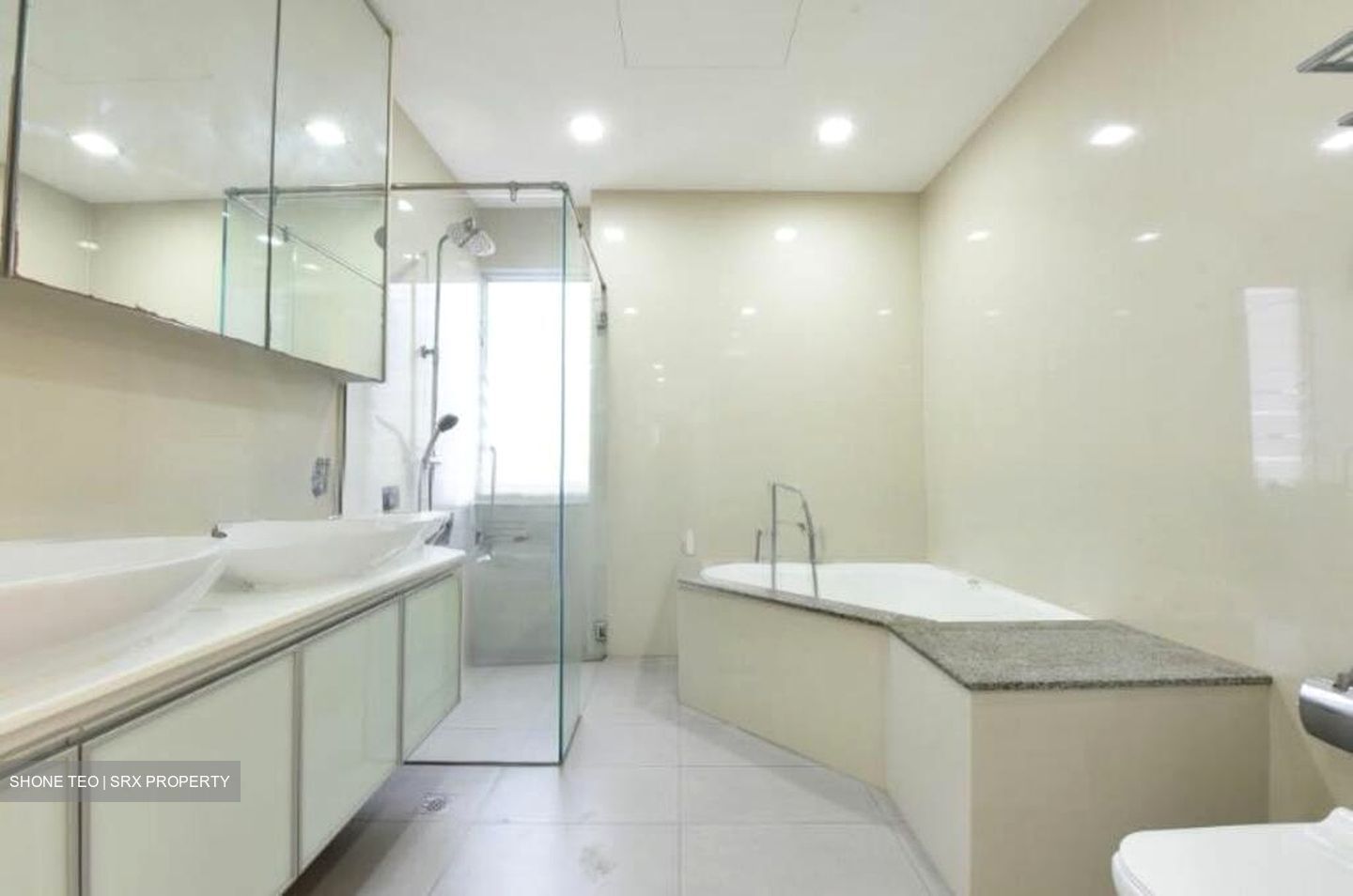 Regency Park (D10), Condominium #519046311